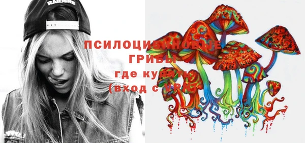 винт Алексин